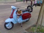 Lambretta con i colori del West Ham United claret and blue